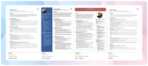 Workreap-Resume-Write-Up-Service-Sample-CV-2