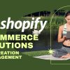 Workreap-shopify-ecommerce-e-creation-and-management-